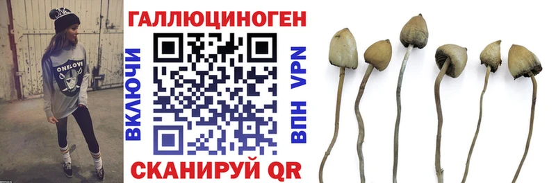 как найти закладки  Анива  Псилоцибиновые грибы GOLDEN TEACHER 